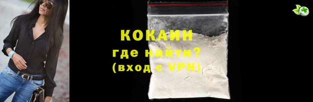 тгк Пересвет