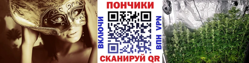 Каннабис MAZAR  где купить наркоту  Кинешма 